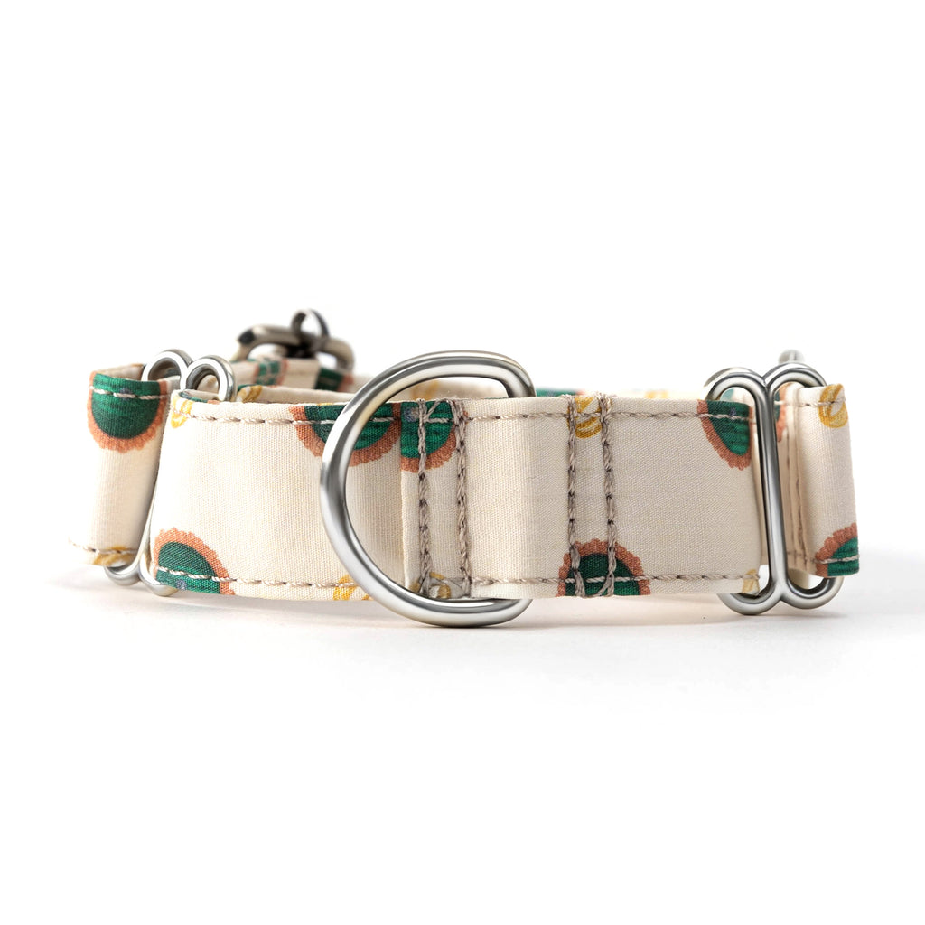 100% Cotton Martingale Dog Collar Silver The Hobbit LOTR front