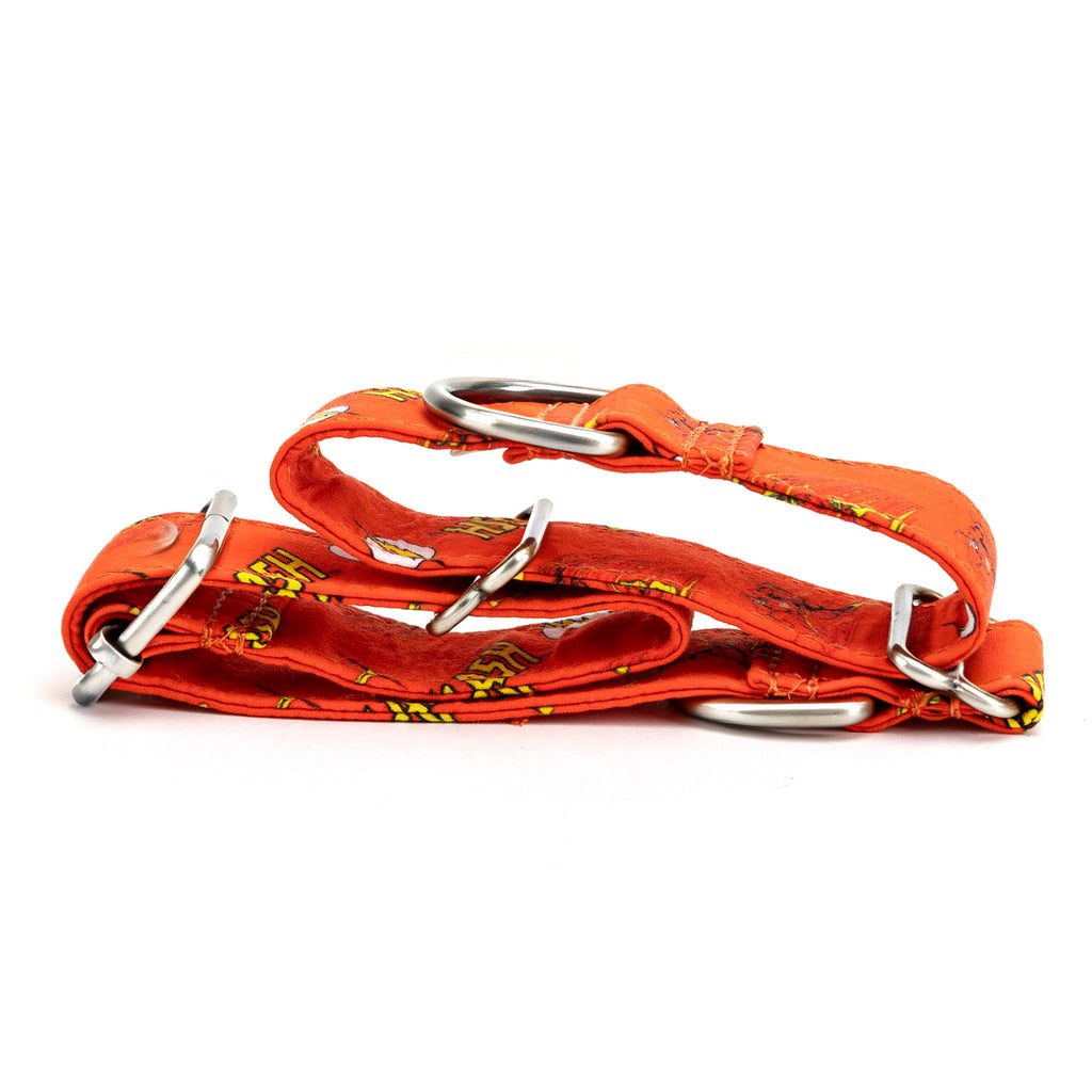 100% Cotton Martingale Dog Collar Silver The Flash folded