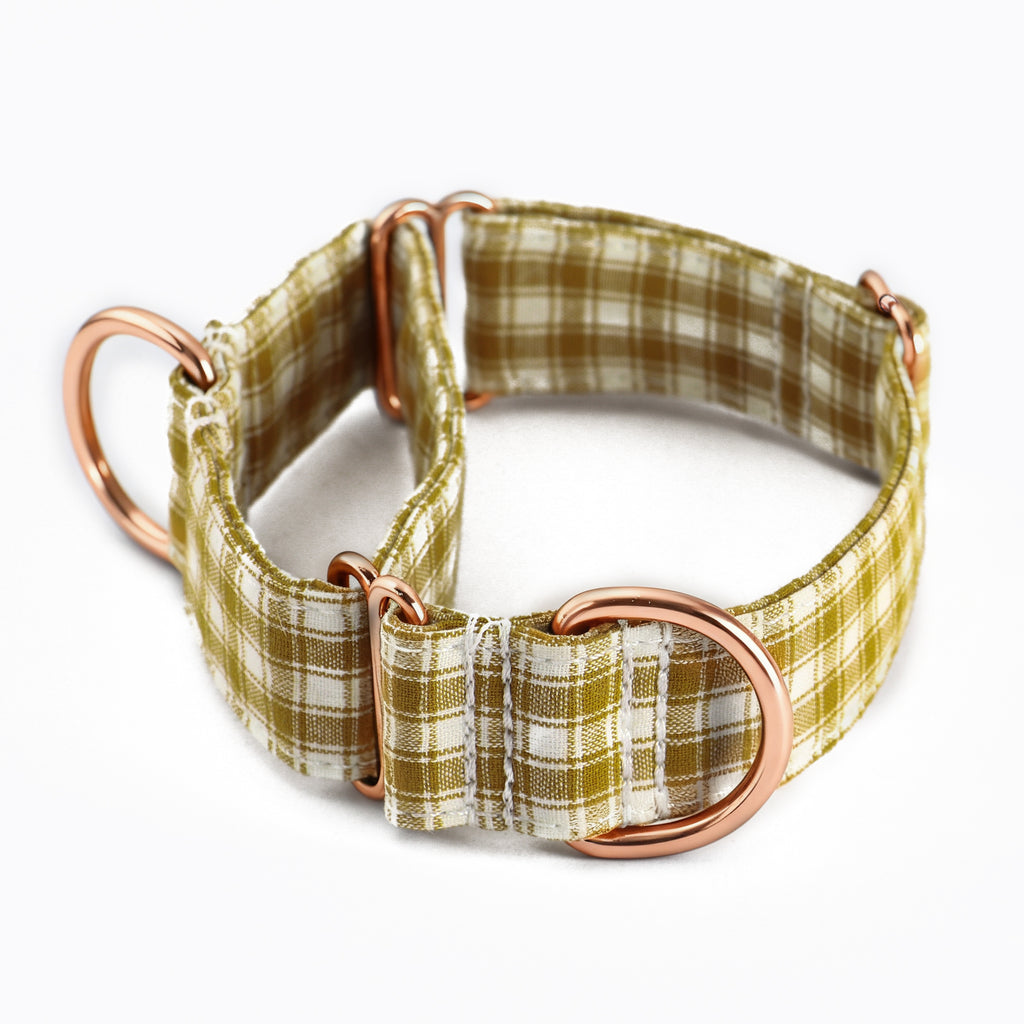 100% Cotton Martingale Dog Collar  Gingham Yellow main