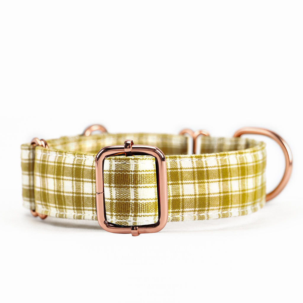 100% Cotton Martingale Dog Collar  Gingham Yellow front