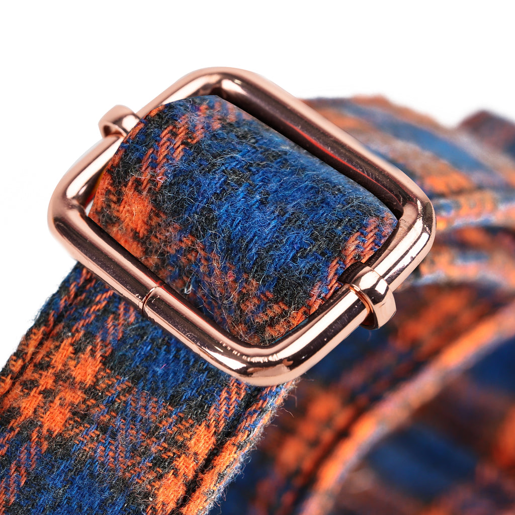 100% Cotton Martingale Dog Collar MacDonald Orange & Blue hardware