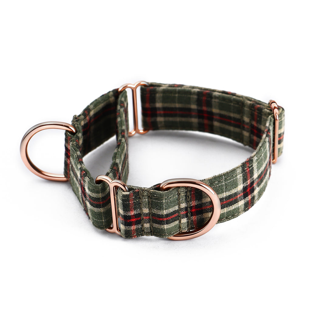 100% Cotton Martingale Dog Collar  MacPherson Hunting Green main