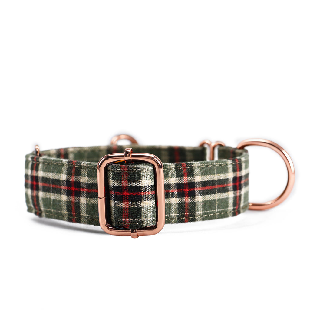 100% Cotton Martingale Dog Collar  MacPherson Hunting Green front