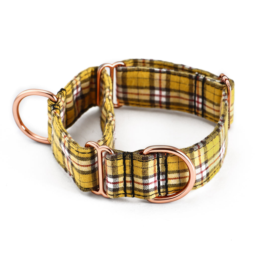 100% Cotton Martingale Dog Collar  MacPherson Hunting Yellow main