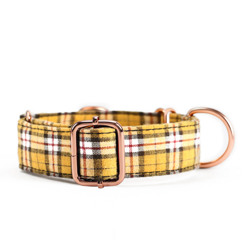 100% Cotton Martingale Dog Collar  MacPherson Hunting Yellow front