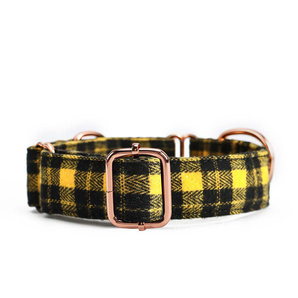 100% Cotton Martingale Dog Collar Black Watch Yellow front