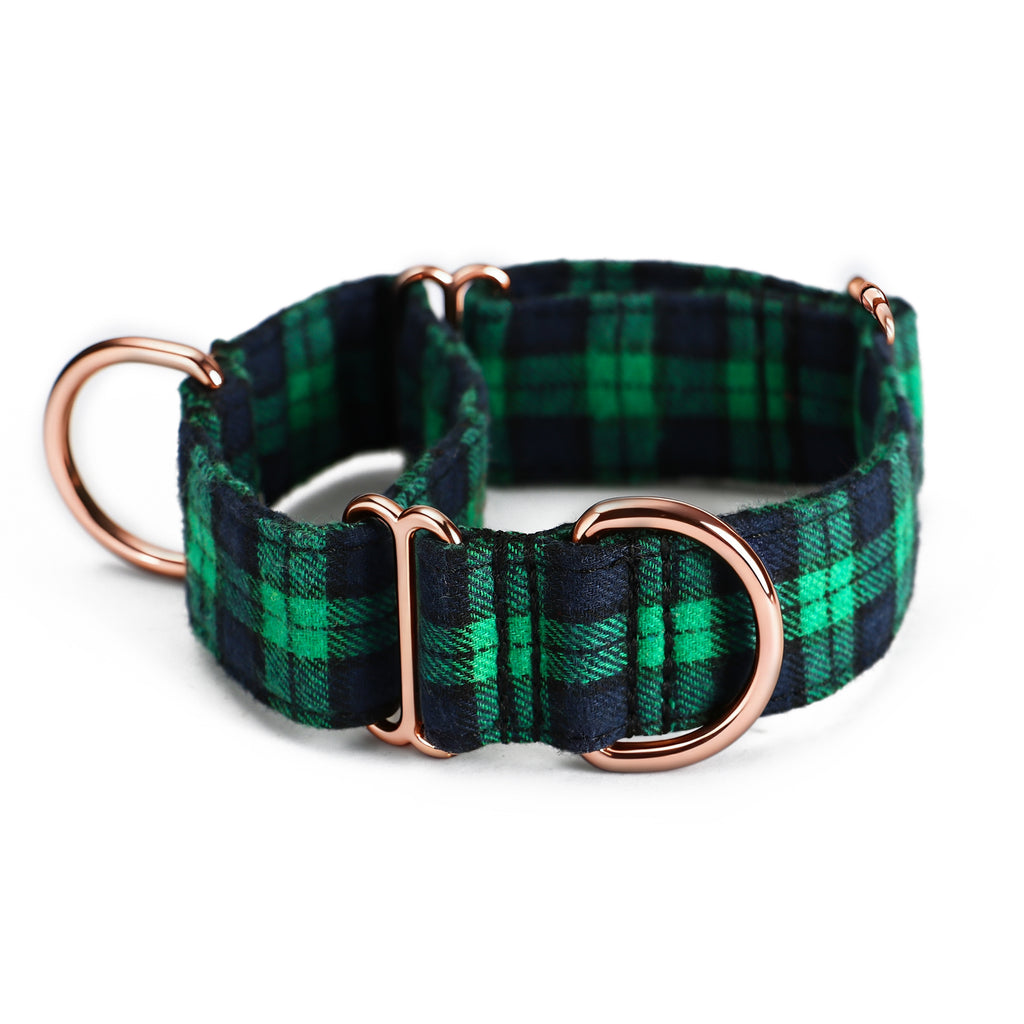 100% Cotton Martingale Dog Collar  Black Watch Lime main