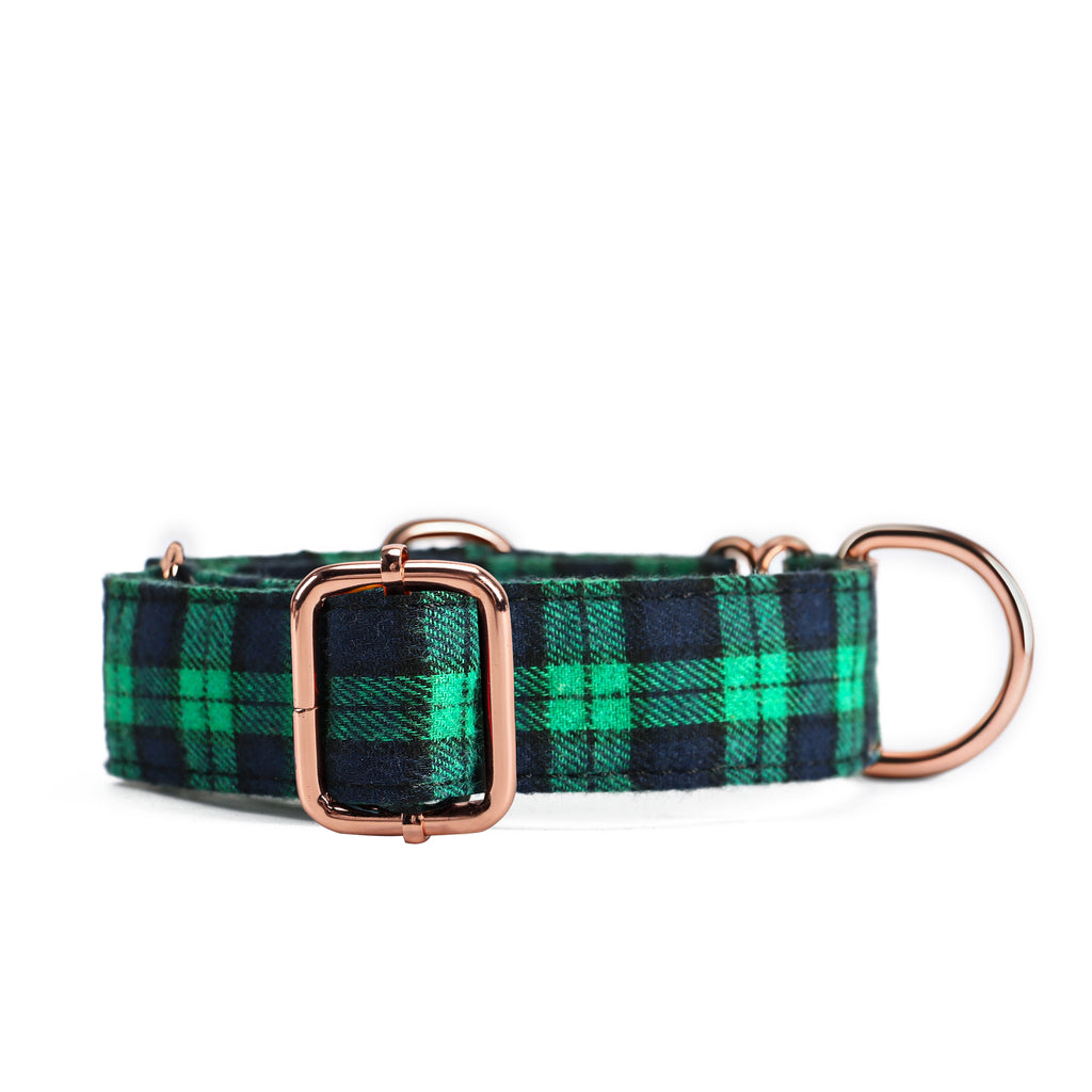 100% Cotton Martingale Dog Collar  Black Watch Lime front