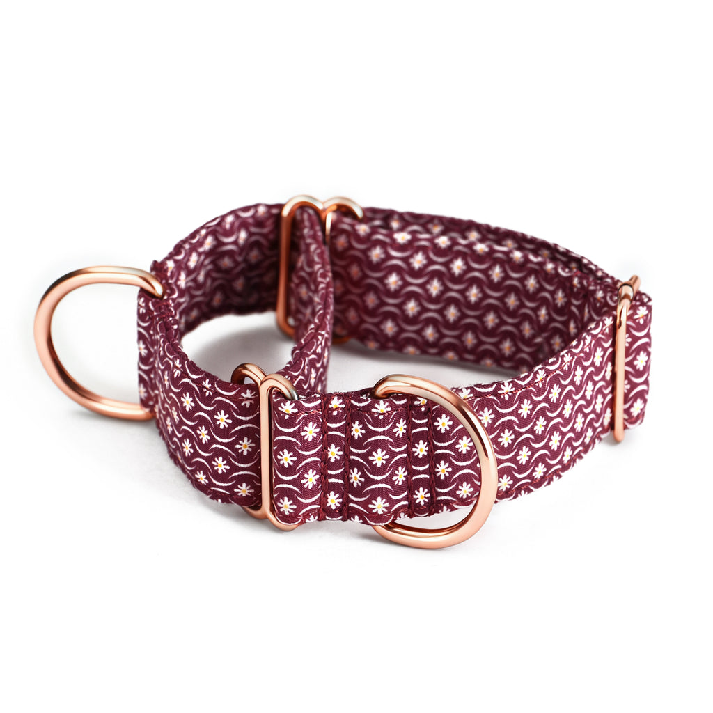 100% Cotton Martingale Dog Collar  Heritage Red main
