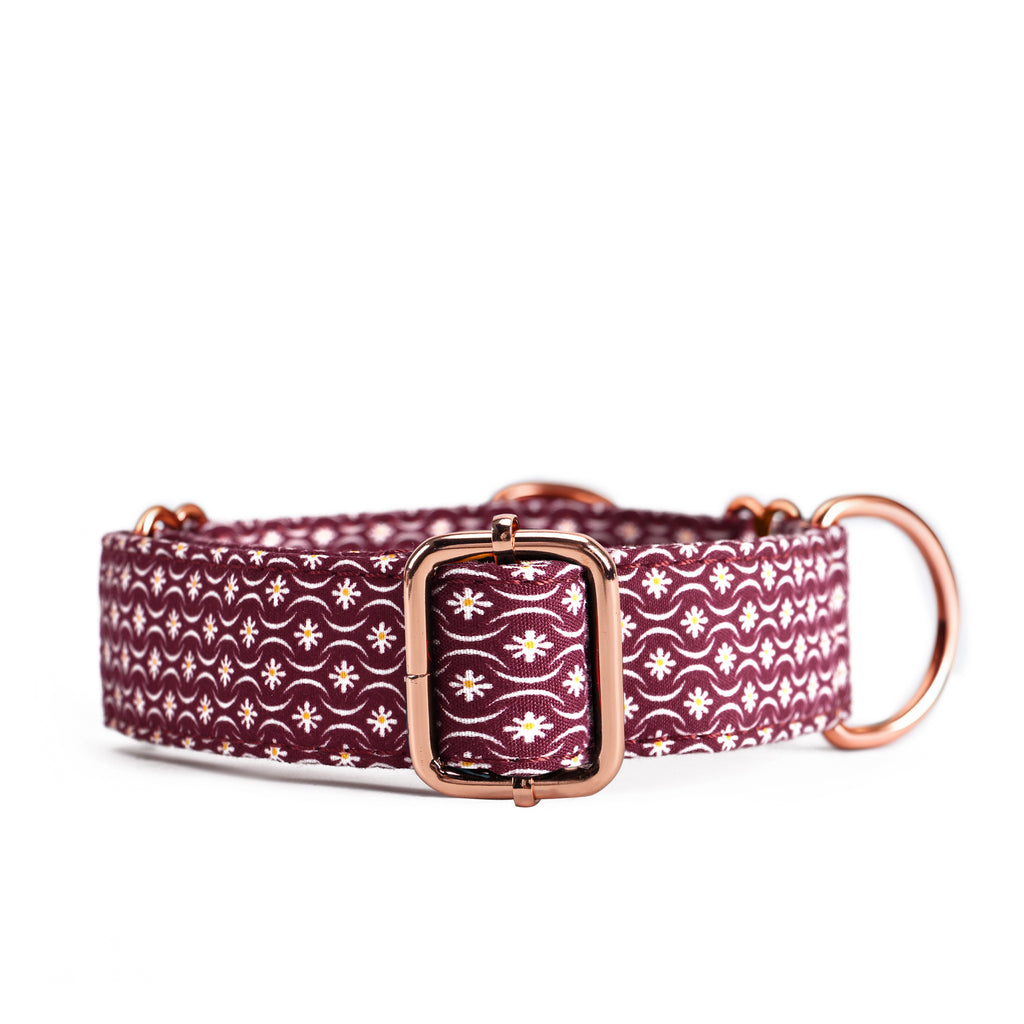 100% Cotton Martingale Dog Collar  Heritage Red front