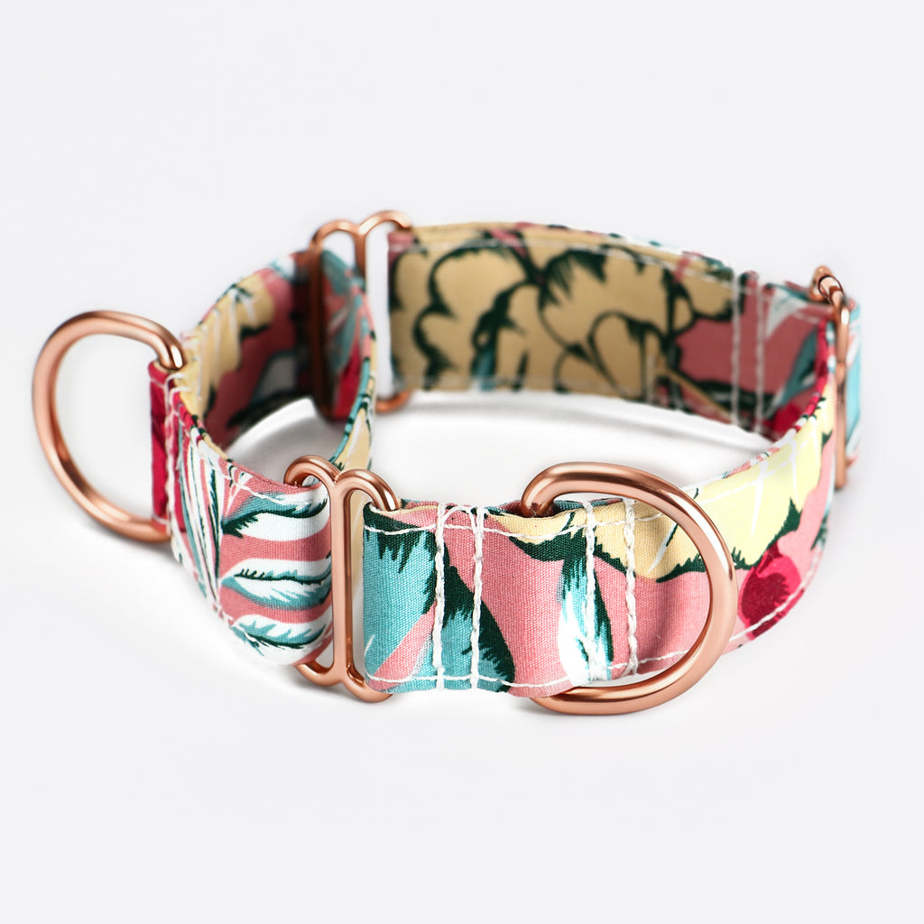100% Cotton Martingale Dog Collar Romantic Rose main