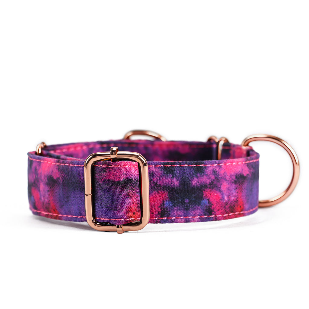 100% Cotton Martingale Dog Collar  Galaxy front