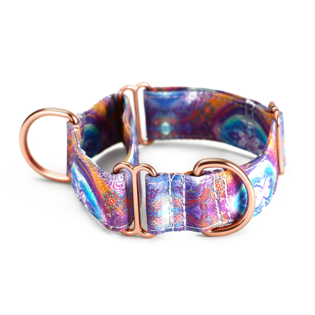 100% Cotton Martingale Dog Collar Aurora main