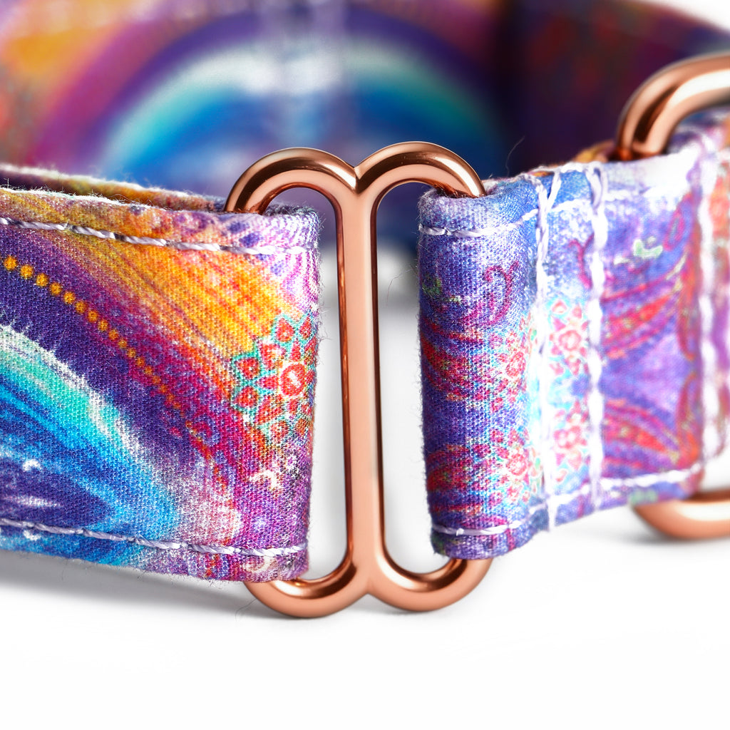 100% Cotton Martingale Dog Collar Aurora detail