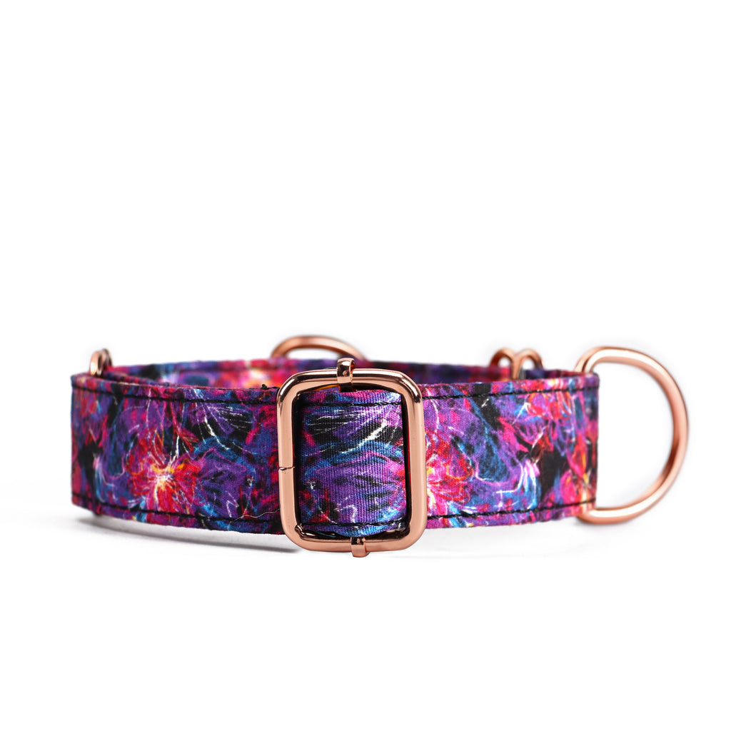 100% Cotton Martingale Dog Collar  Nebula front