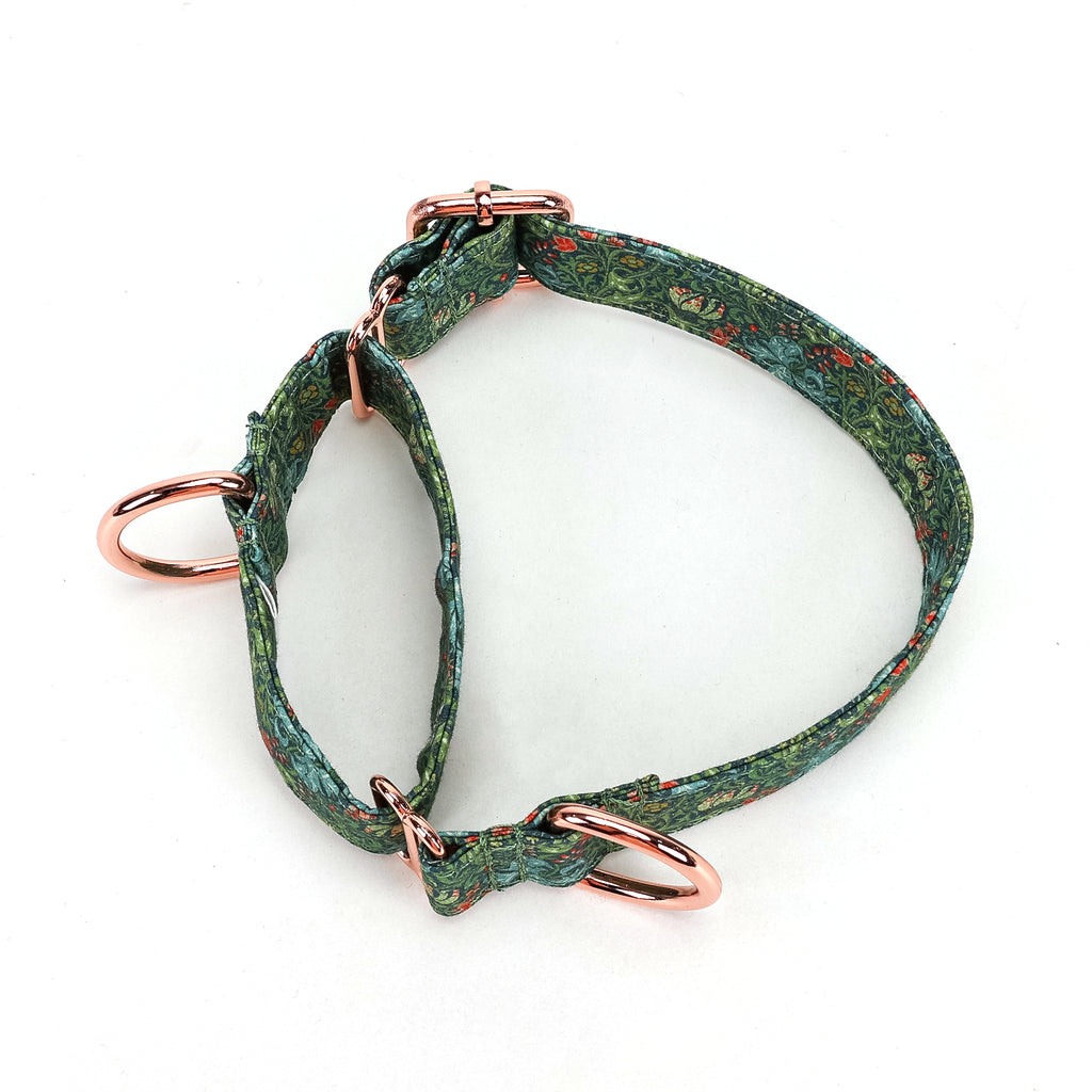100% Cotton Martingale Dog Collar Golden Lily MAIN
