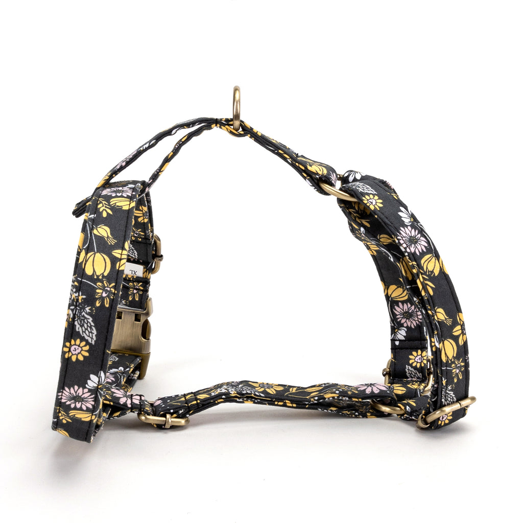 No Pull Dog Harness Daisy