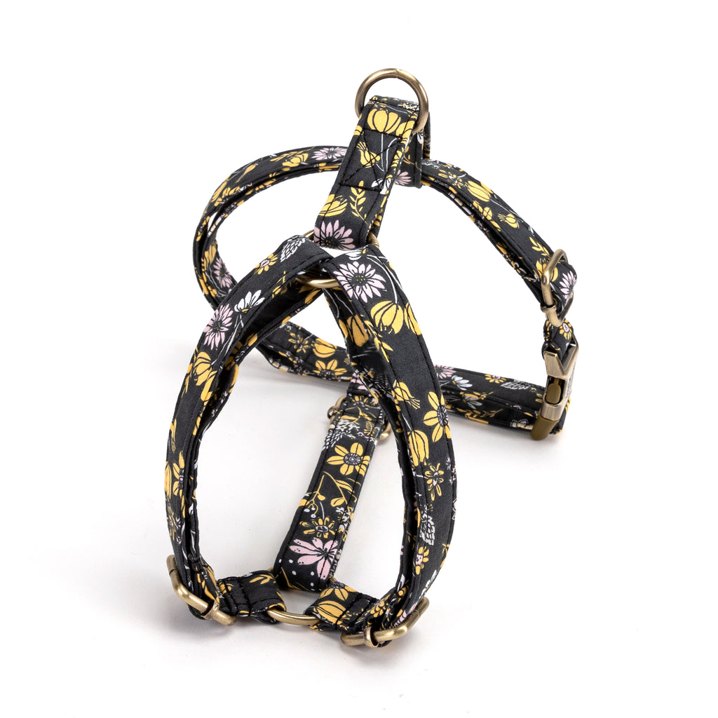 No Pull Dog Harness Daisy