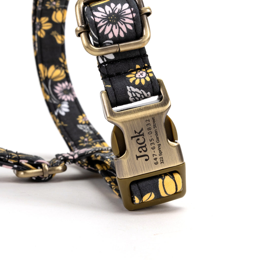 No Pull Dog Harness Daisy