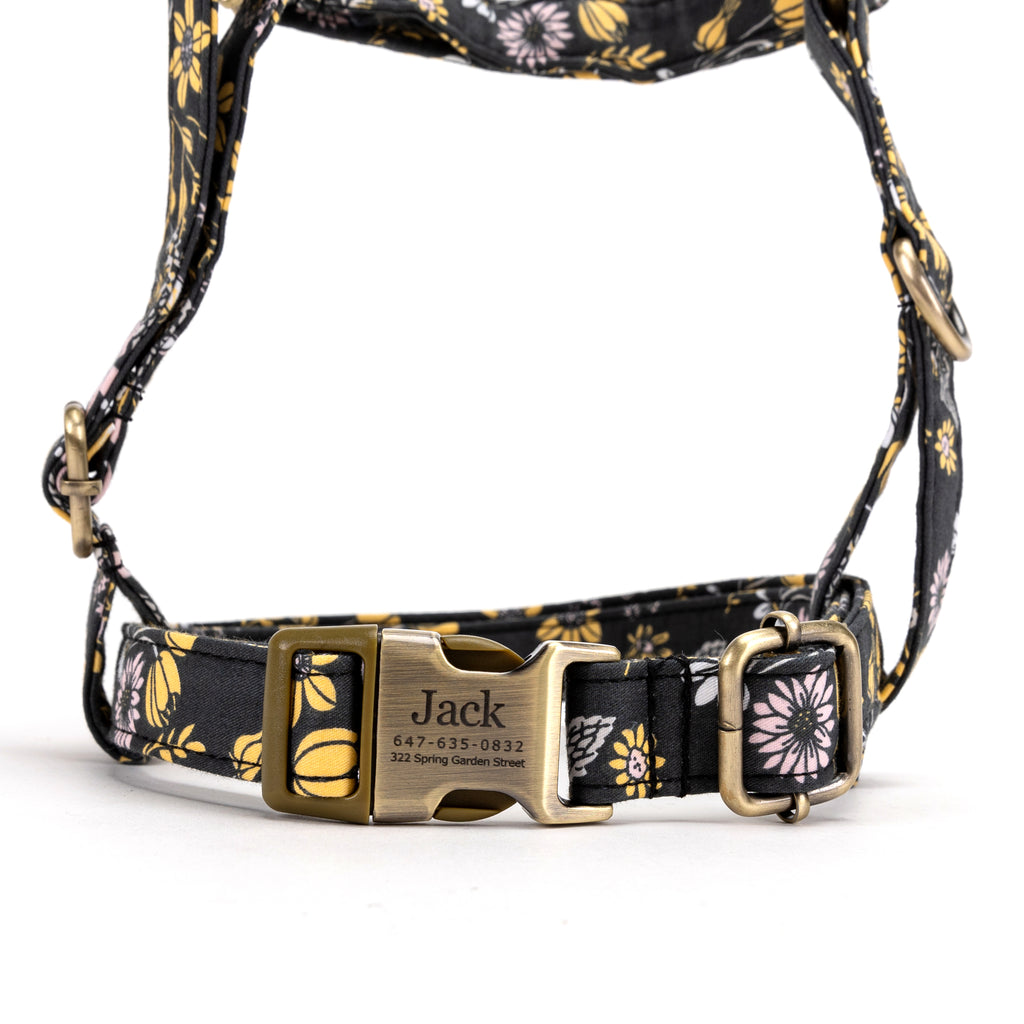 No Pull Dog Harness Daisy