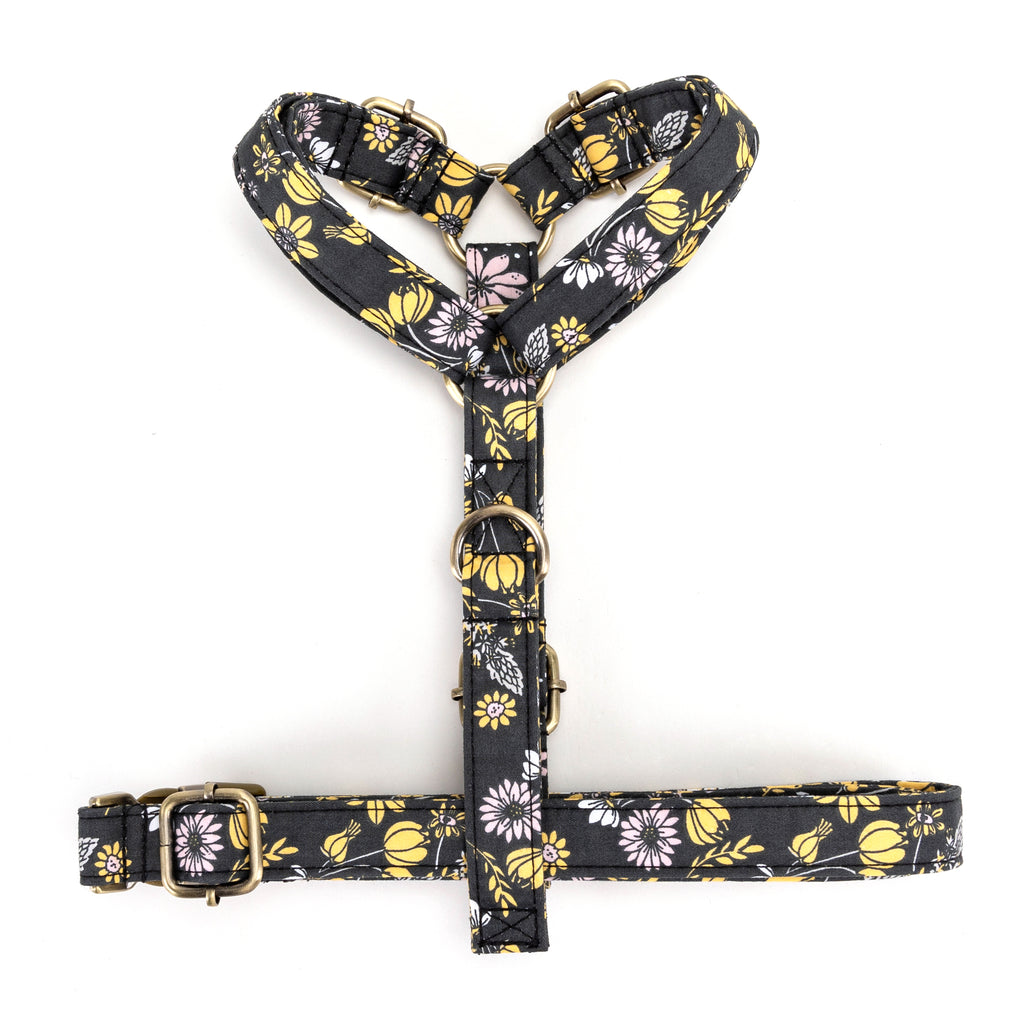 No Pull Dog Harness Daisy