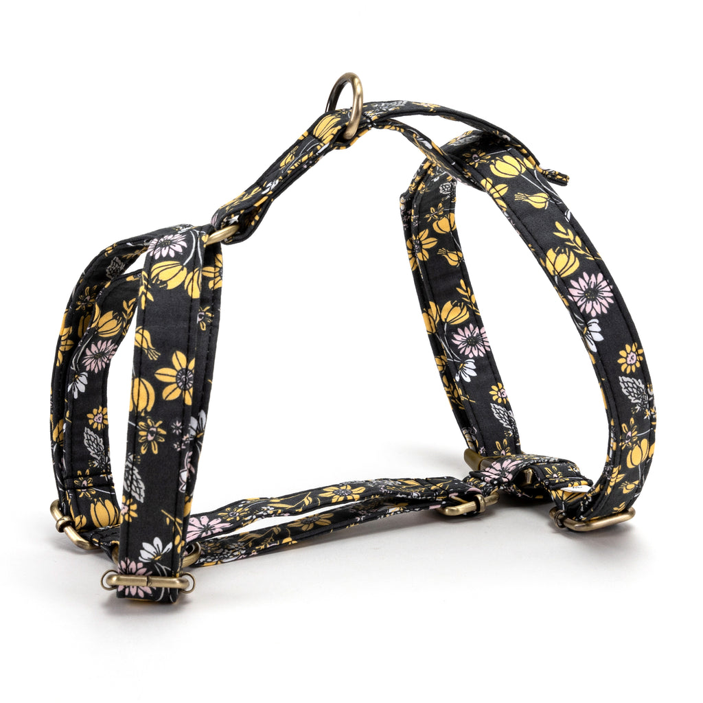 No Pull Dog Harness Daisy