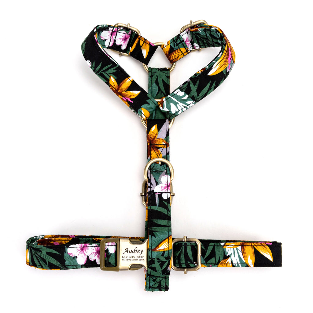 No Pull Dog Harness Tropical Night
