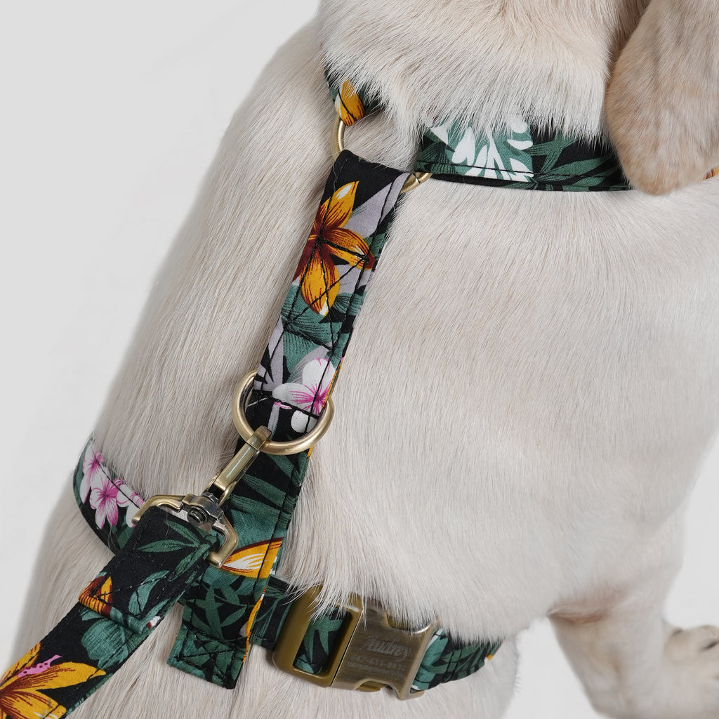 Dog wears 100% Cotton Adjustable No Pull Dog Harness Tropical Night back