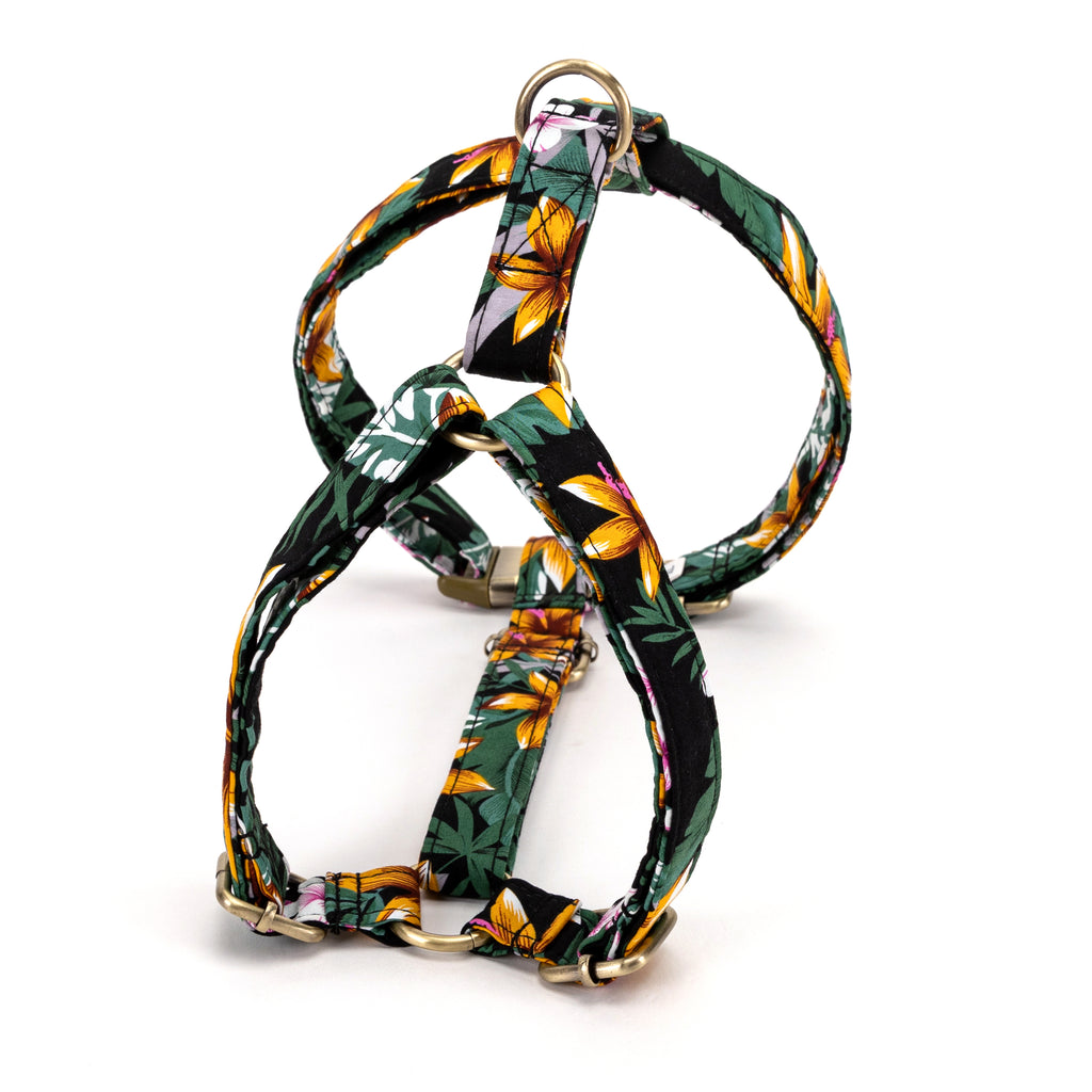 No Pull Dog Harness Tropical Night