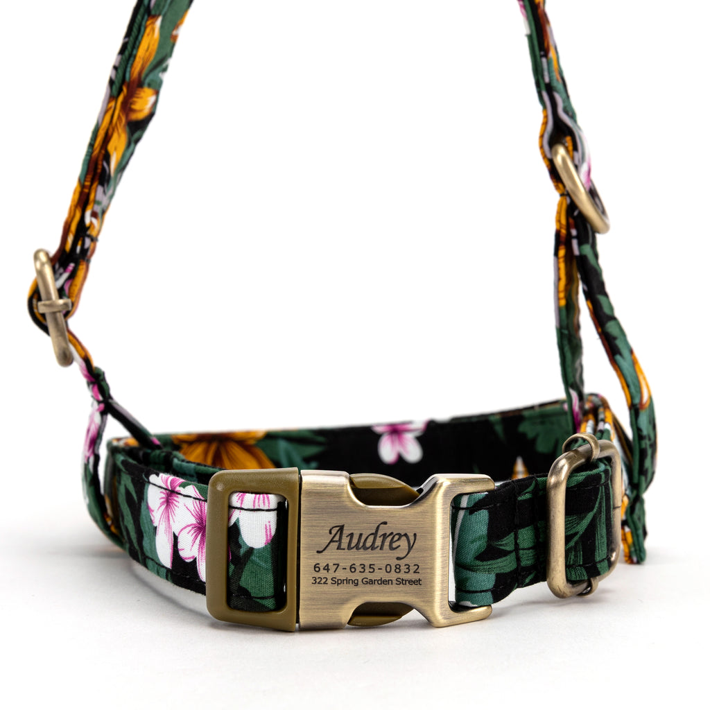 No Pull Dog Harness Tropical Night