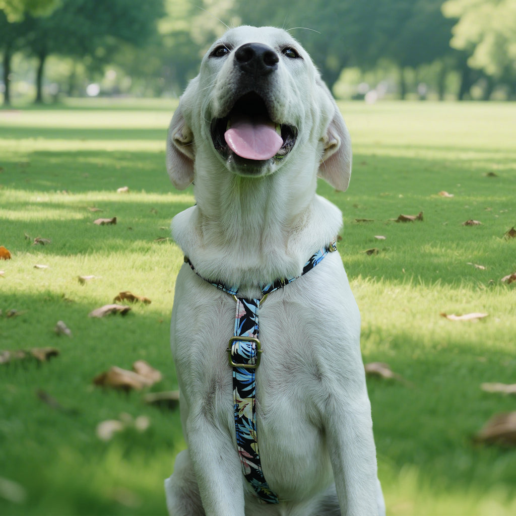 Dog wears 100% Cotton Adjustable No Pull Dog Harness Tropical Pinky front