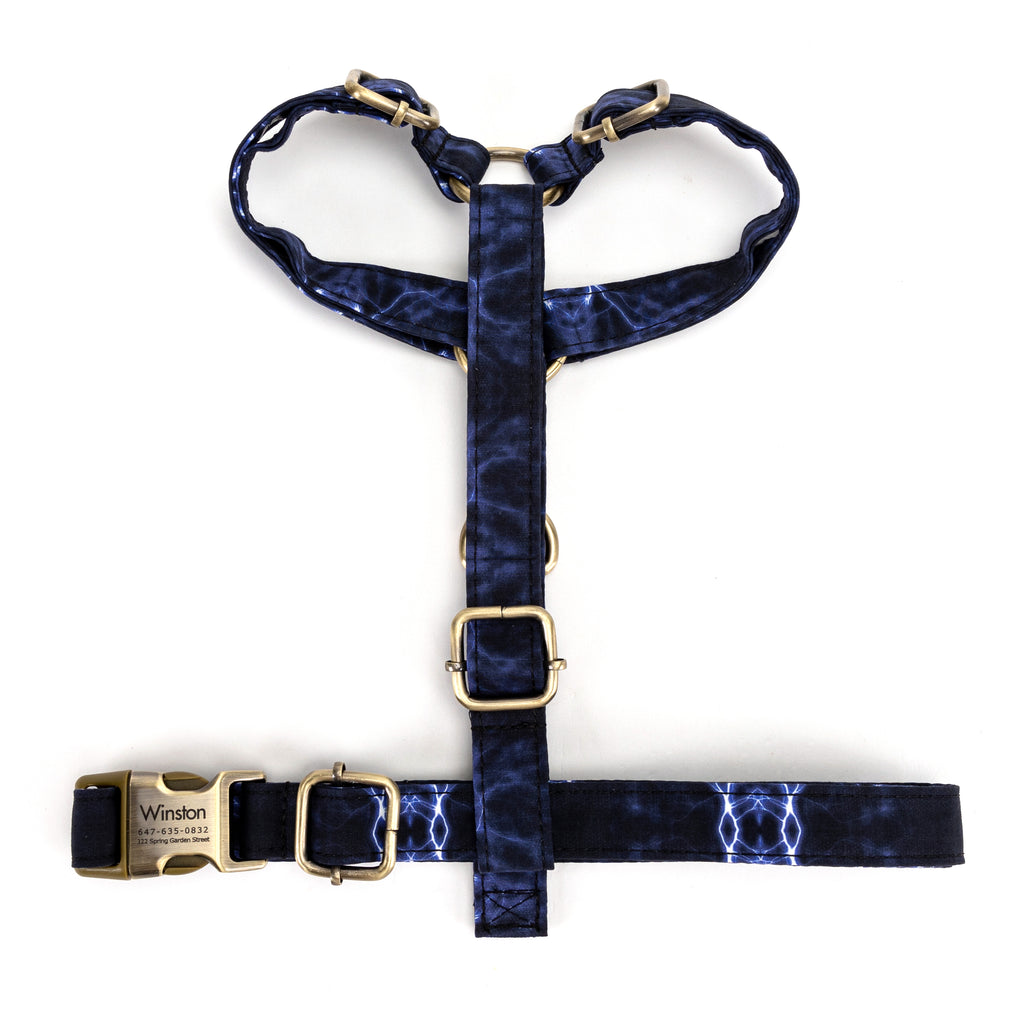 No Pull Dog Harness Aurora