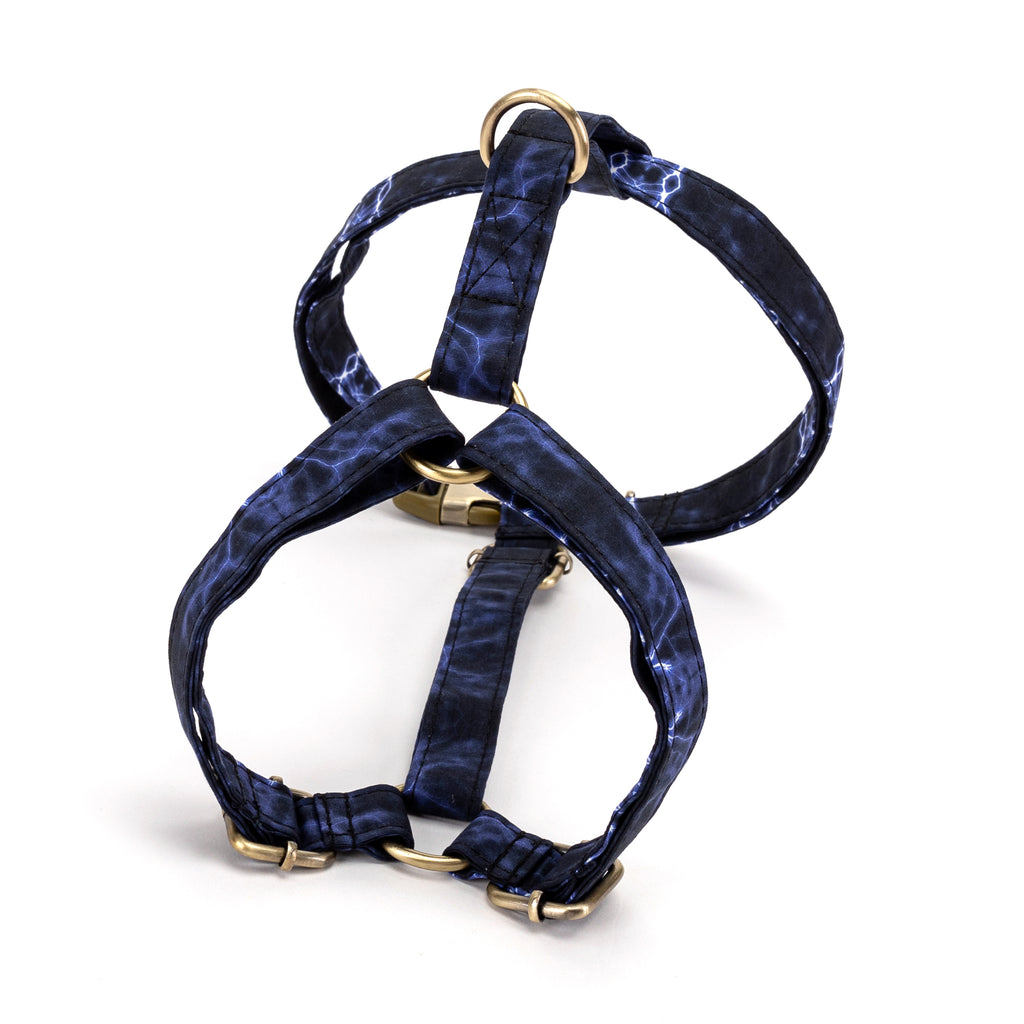 No Pull Dog Harness Aurora