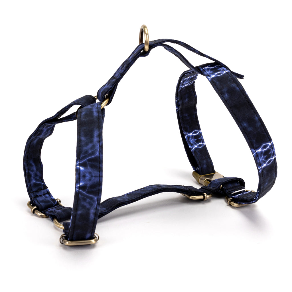 No Pull Dog Harness Aurora