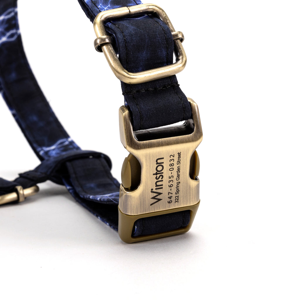 No Pull Dog Harness Aurora