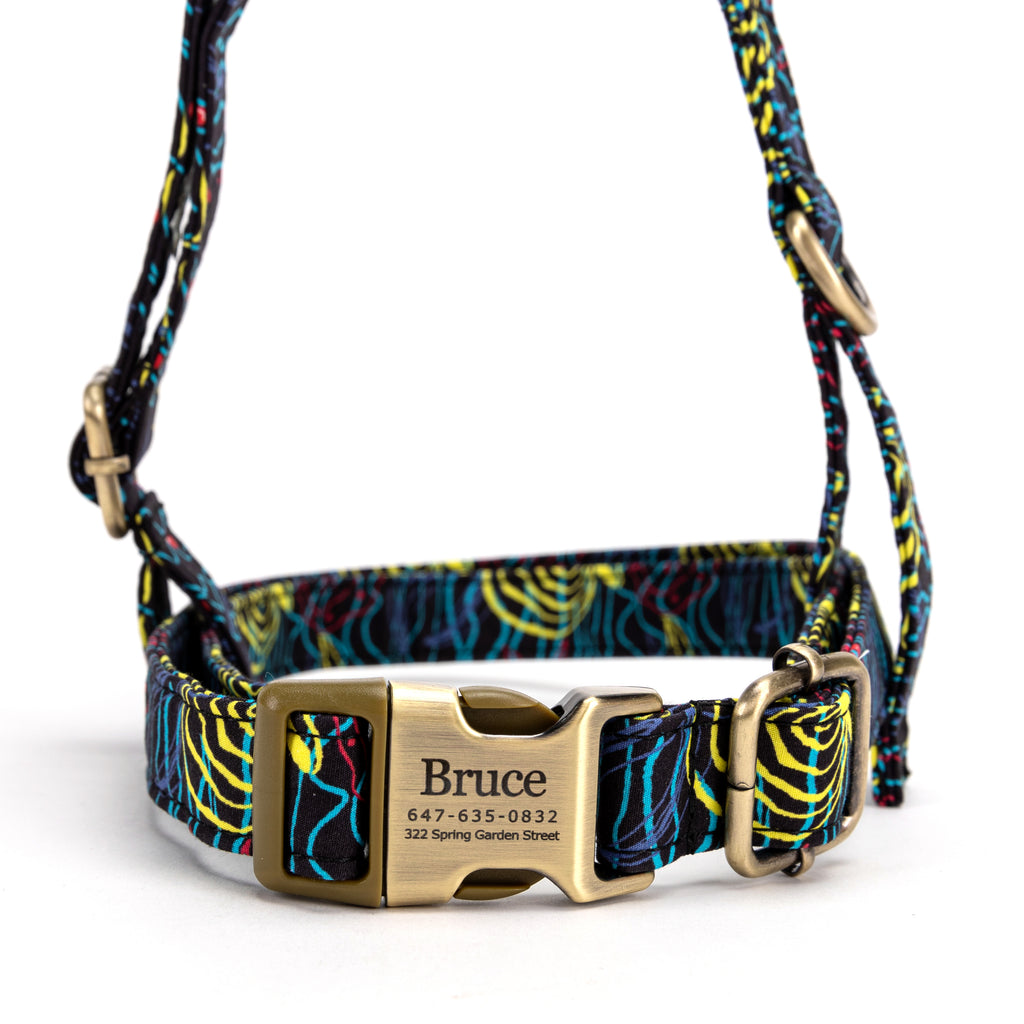 No Pull Dog Harness Seaside