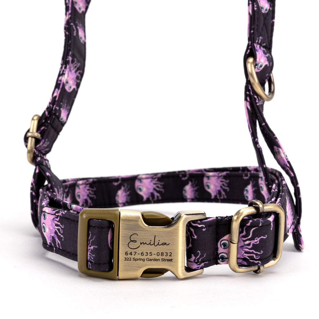 No Pull Dog Harness Jellyfish