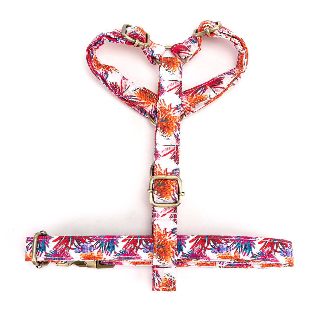 No Pull Dog Harness Blooms