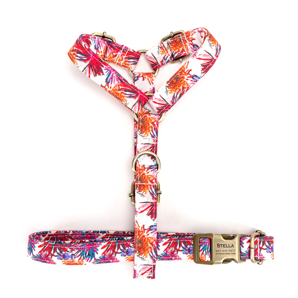 No Pull Dog Harness Blooms