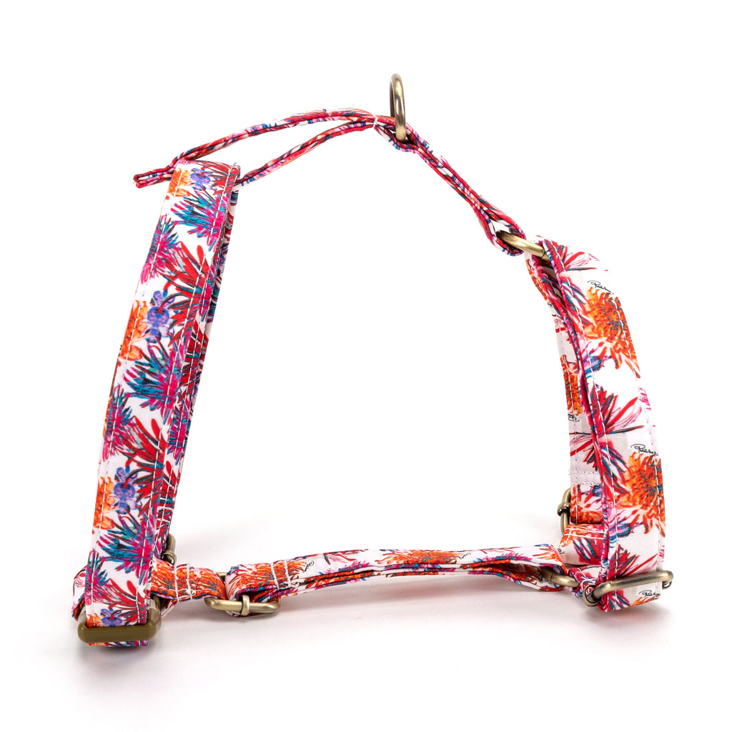 No Pull Dog Harness Blooms