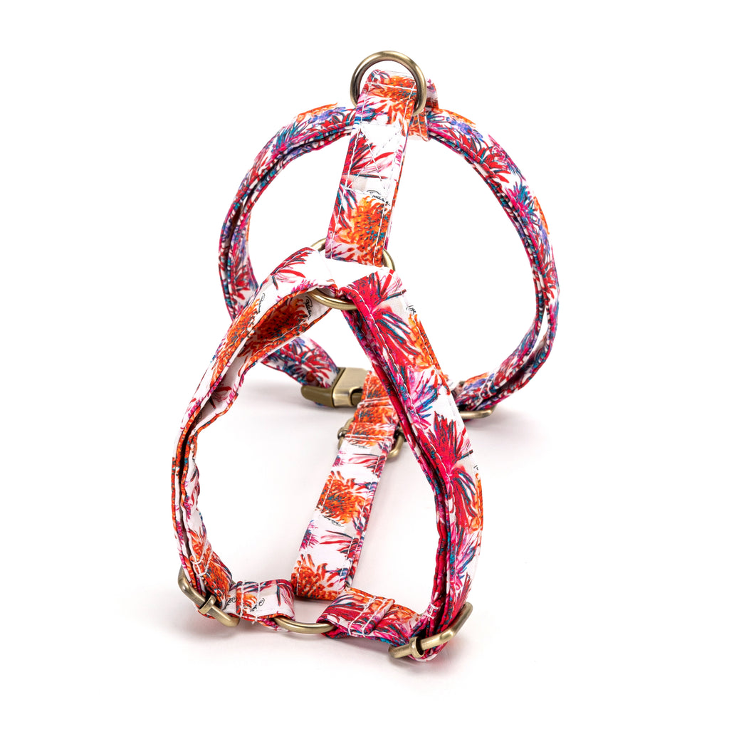 No Pull Dog Harness Blooms