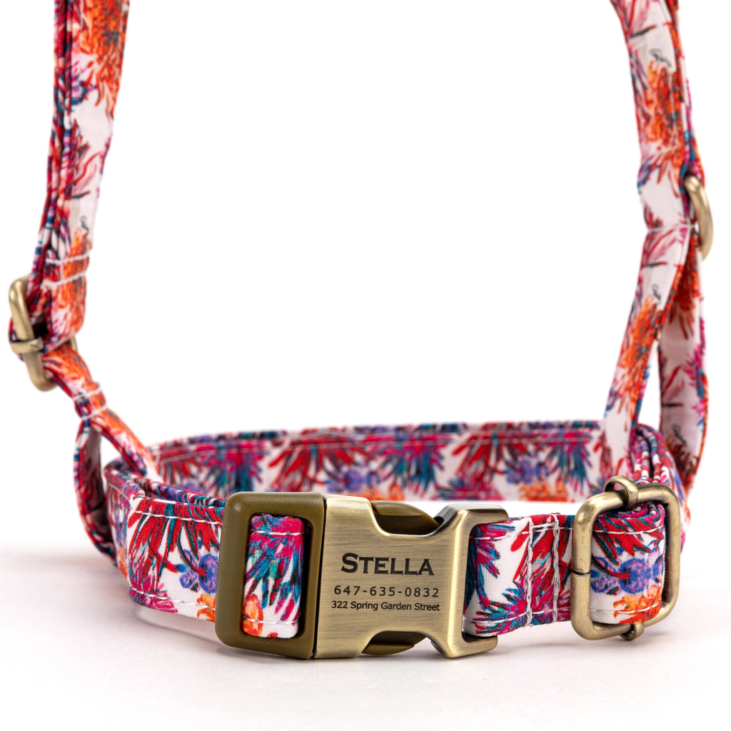 No Pull Dog Harness Blooms