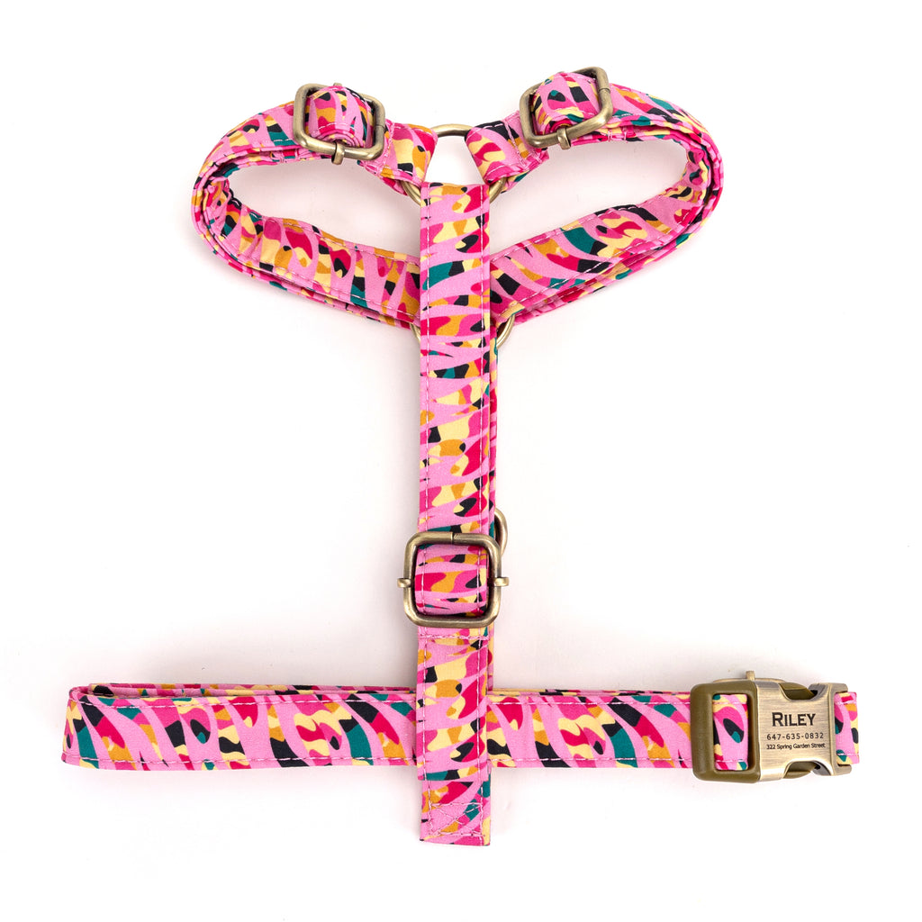No Pull Dog Harness Zebra