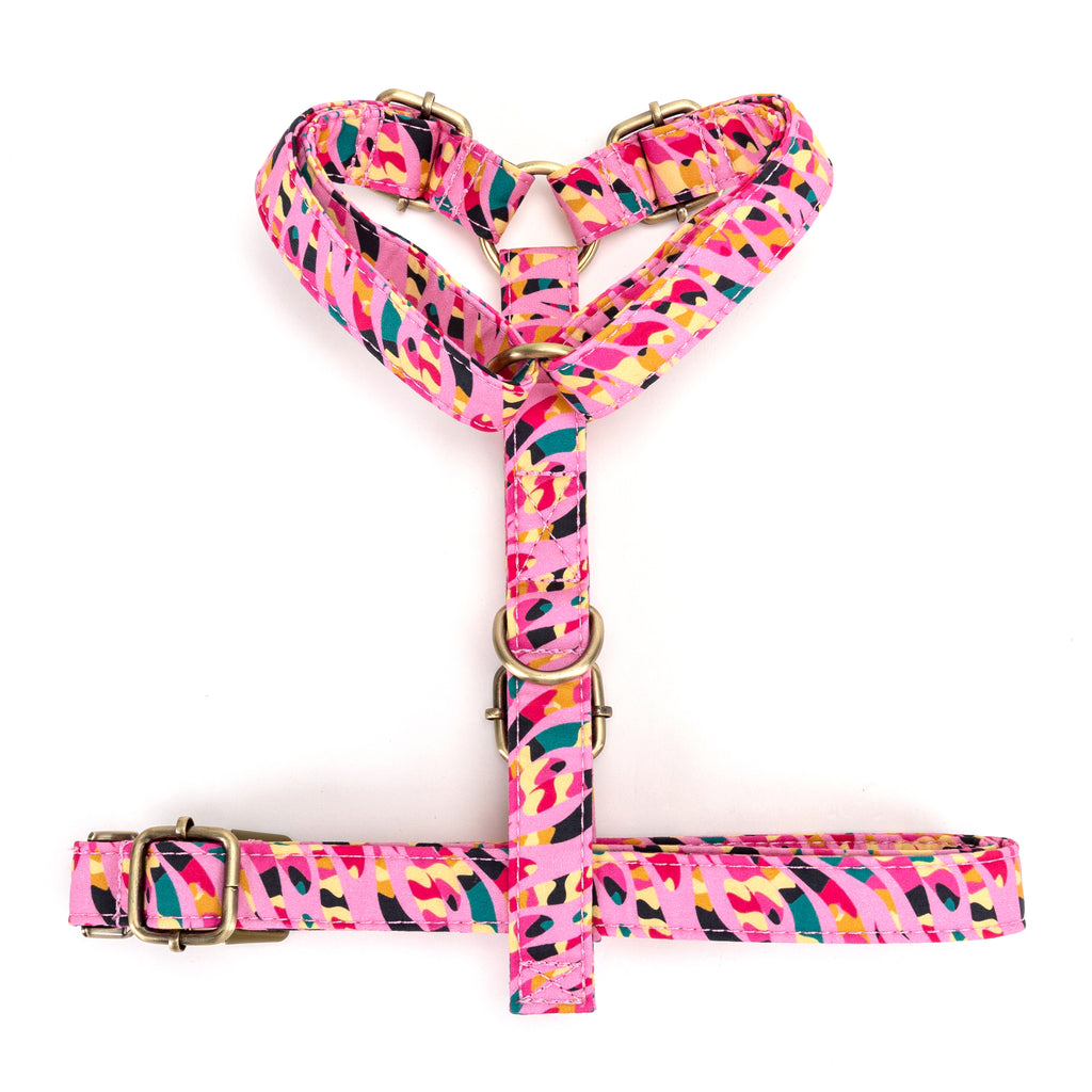 No Pull Dog Harness Zebra