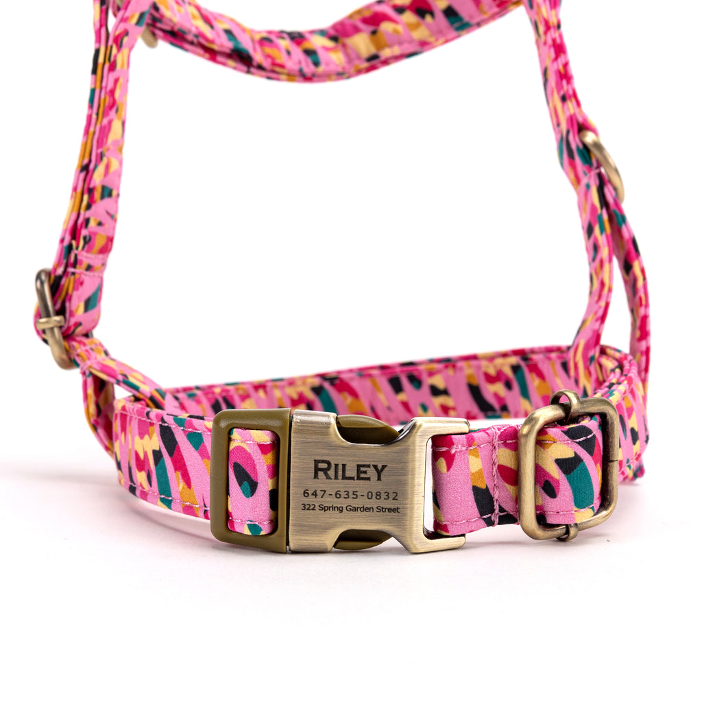 No Pull Dog Harness Zebra