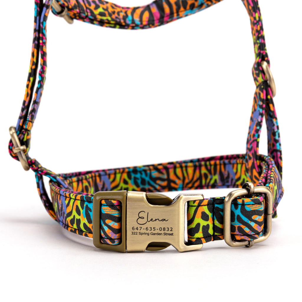 No Pull Dog Harness Colorful Wildlife