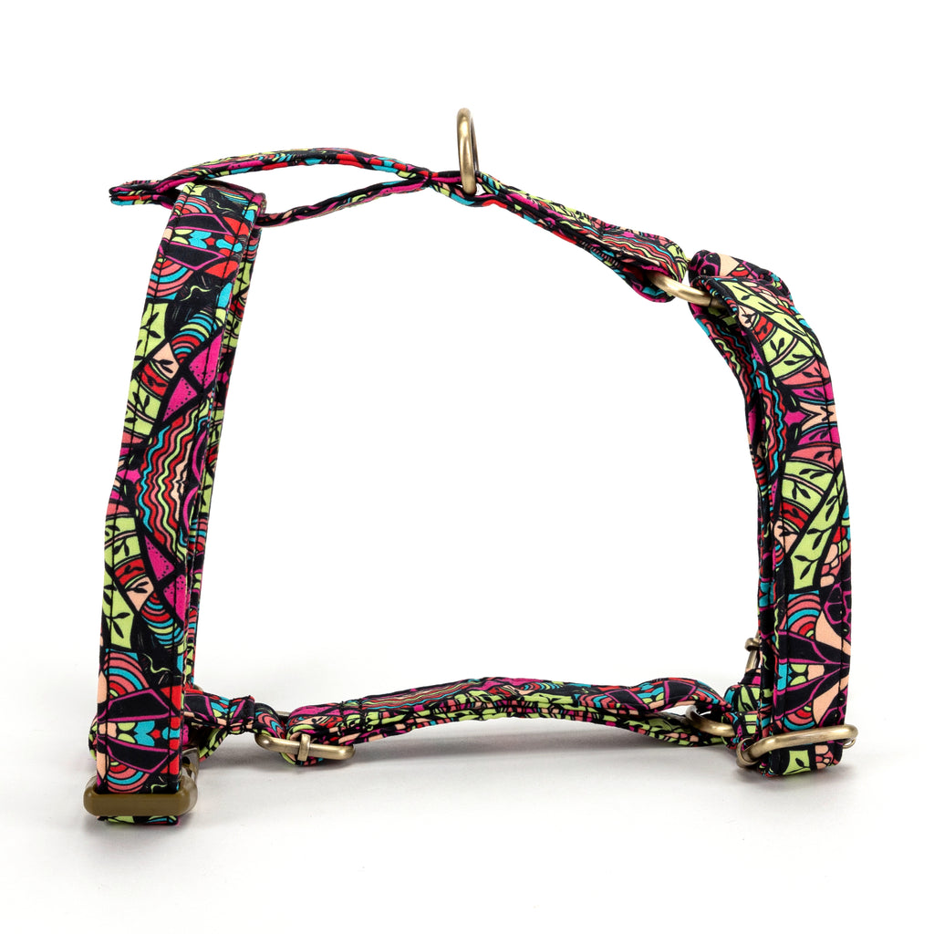 No Pull Dog Harness African