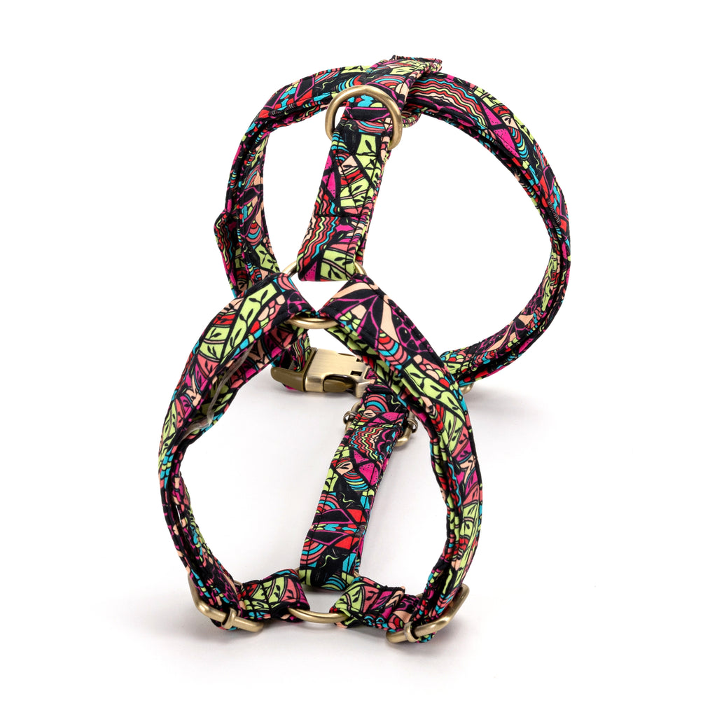No Pull Dog Harness African