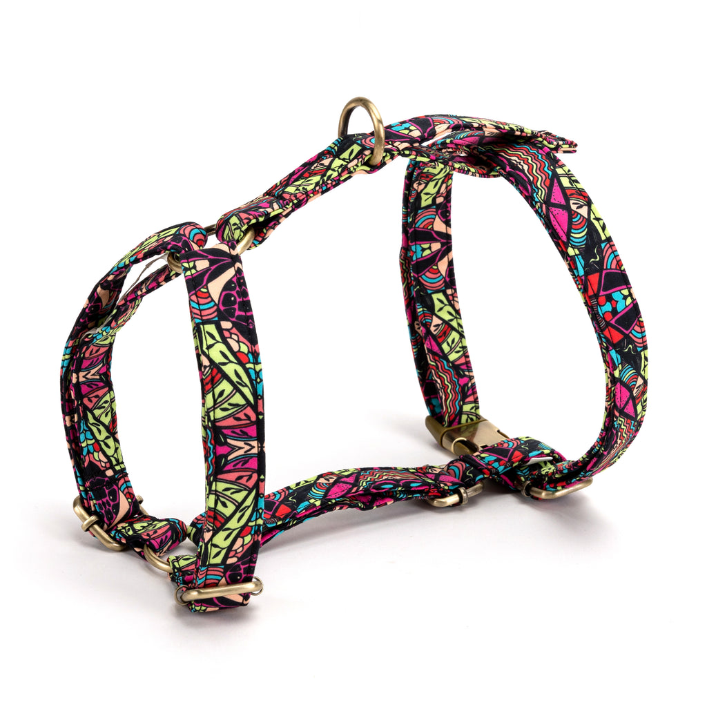 No Pull Dog Harness African
