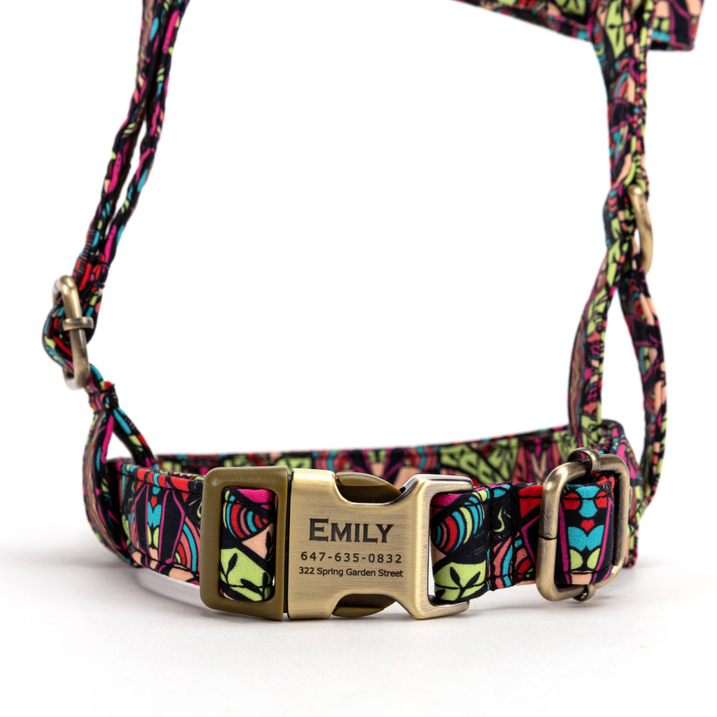 No Pull Dog Harness African